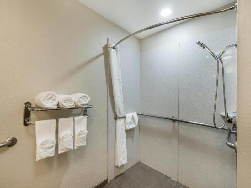 Best Western Plus Duluth/ Sugarloaf image