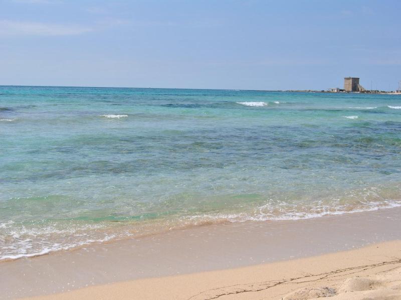 Masseria Corda Di Lana Hotel & Resort image