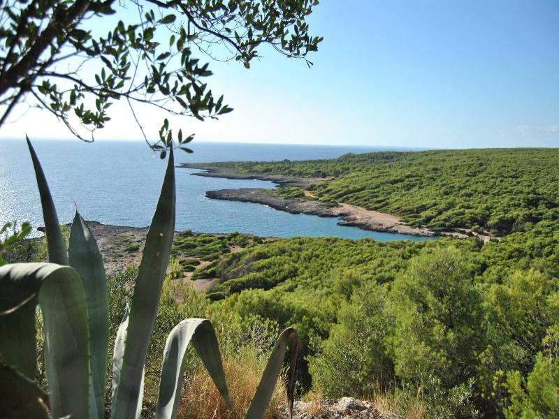 Masseria Corda Di Lana Hotel & Resort image