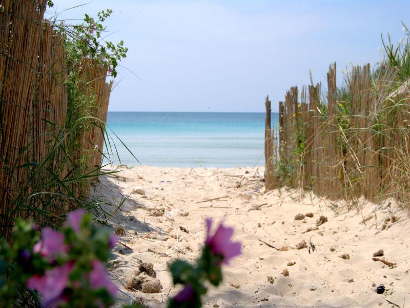 Masseria Corda Di Lana Hotel & Resort image