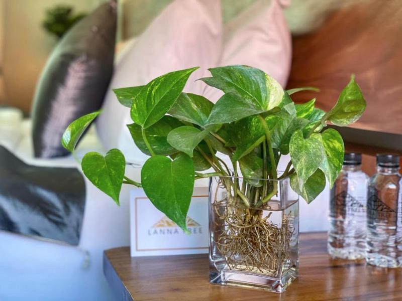 LANNA TREE BOUTIQUE HOTEL image