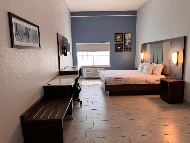 La Quinta Inn & Suites Wyndham Alamo McAllen East image