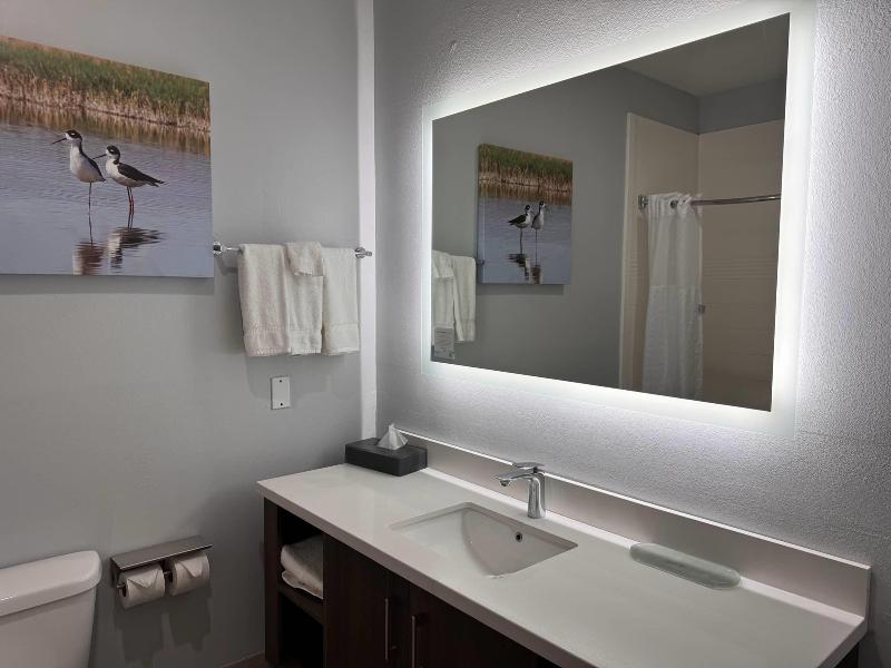La Quinta Inn & Suites Wyndham Alamo McAllen East image