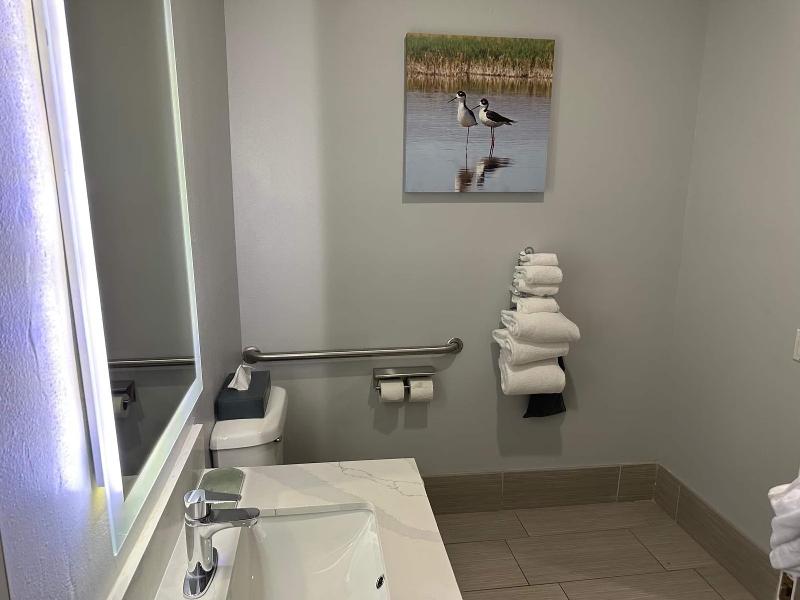 La Quinta Inn & Suites Wyndham Alamo McAllen East image