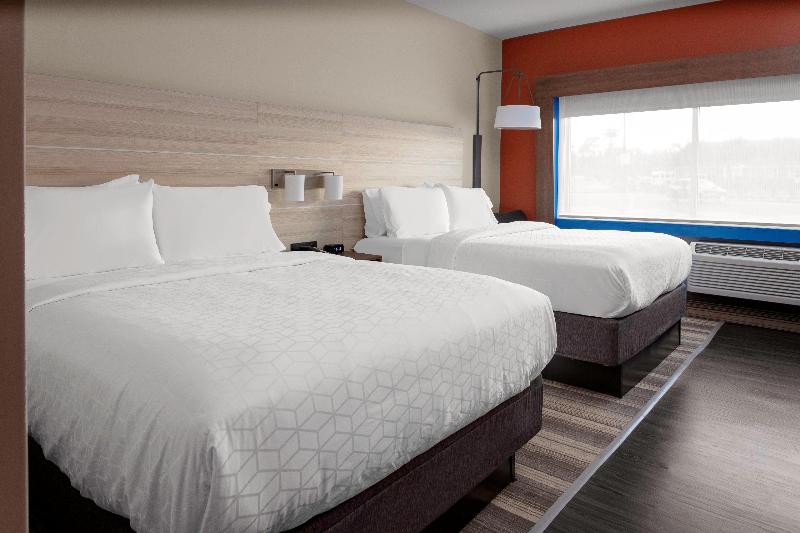 Holiday Inn Exp & Sts Wilmington West-Medical Park image