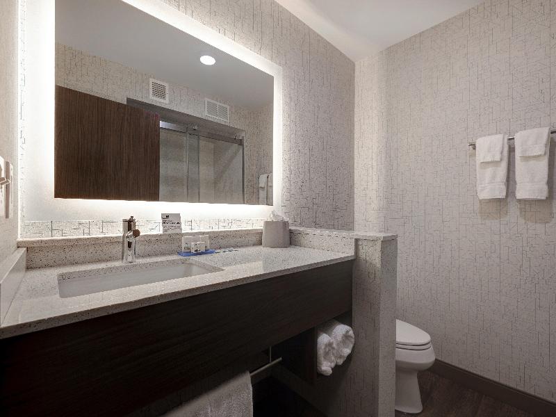 Holiday Inn Express Ann Arbor University South image