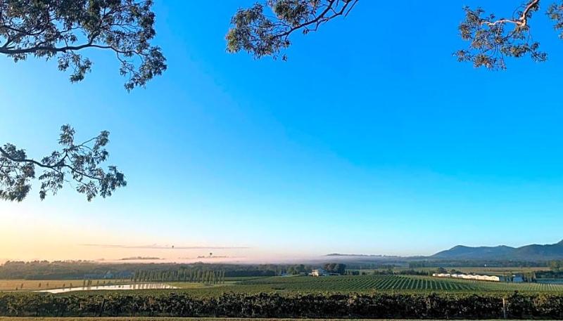 Estate Tuscany image