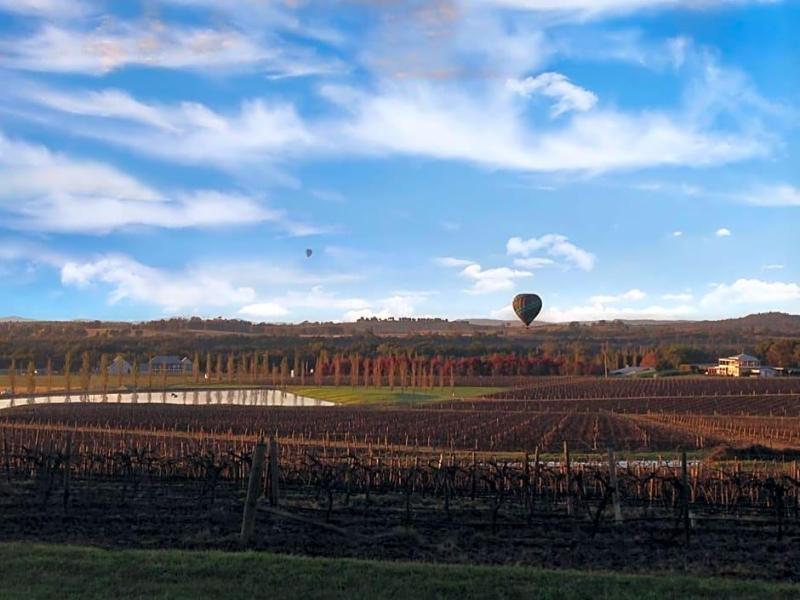 Estate Tuscany image