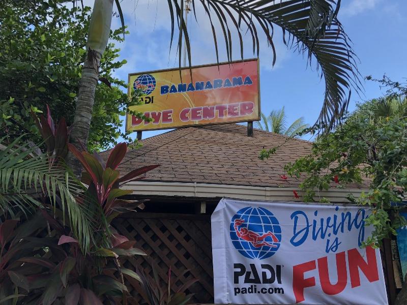 Bananarama Dive Beach Resort image