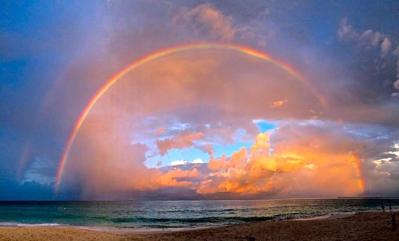 Regal Beach Club image