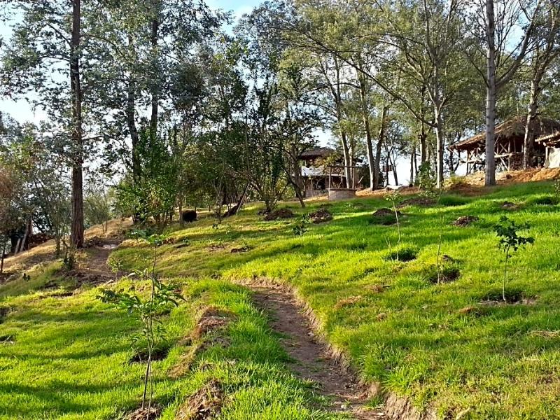 Casa de Hacienda La Jimenita — general view