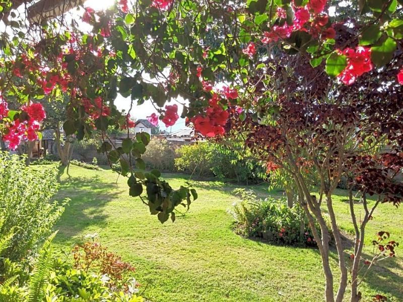 Casa de Hacienda La Jimenita image
