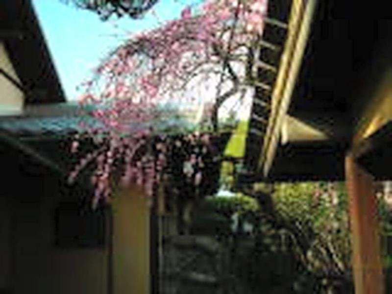 Guesthouse Nara Backpackers image