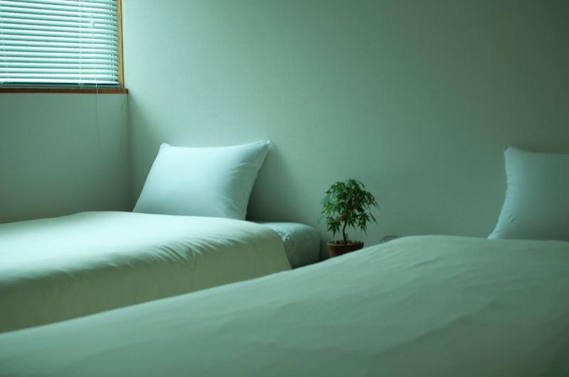 Hostel Mt Fuji image