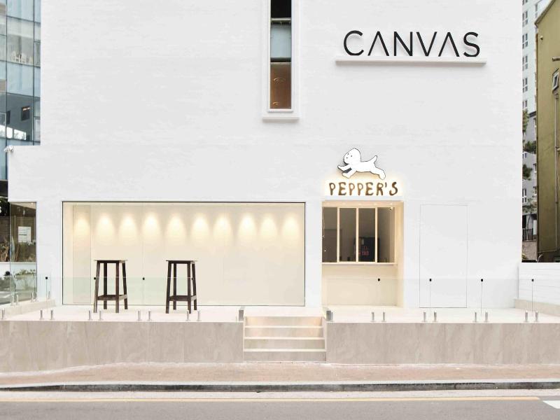 Canvas Hostel image