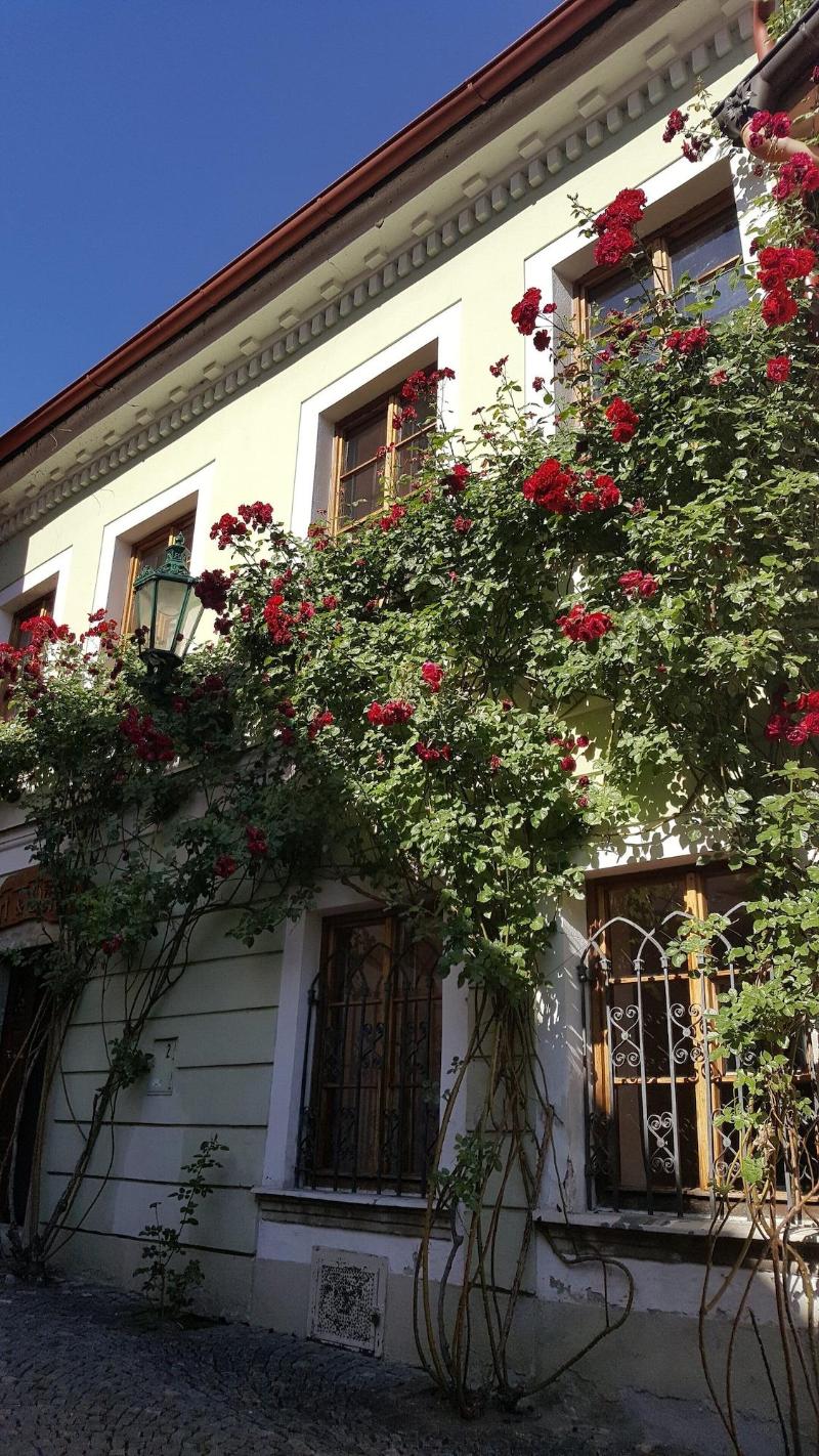 HOUSE OF ROSES