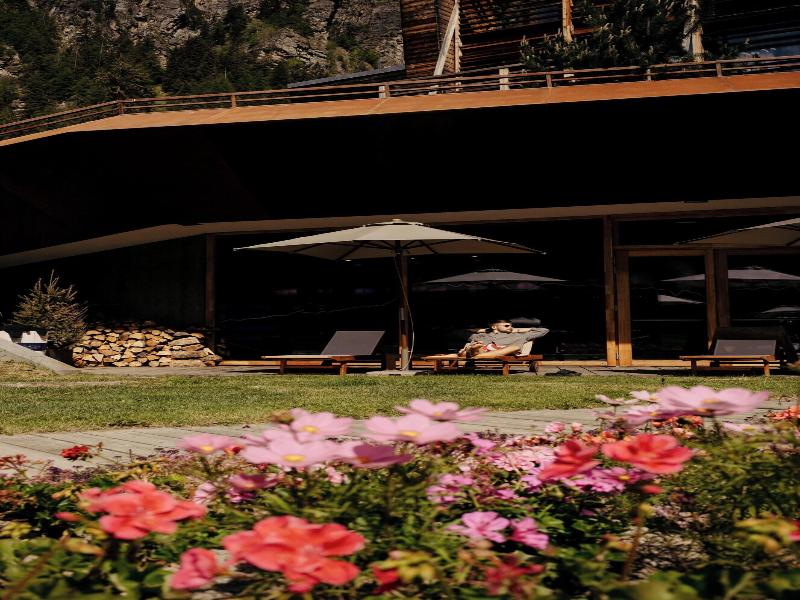 Aethos Monterosa image