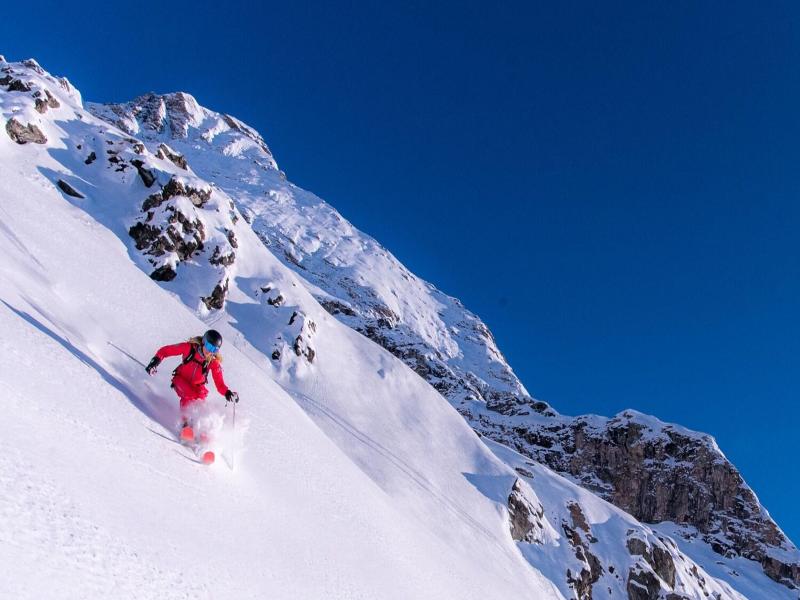 Aethos Monterosa image