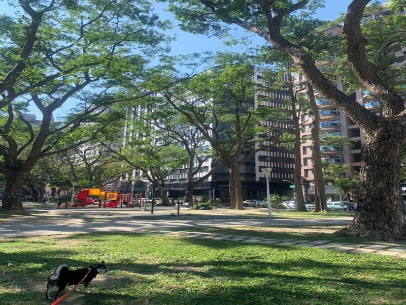 Hotel R14 image