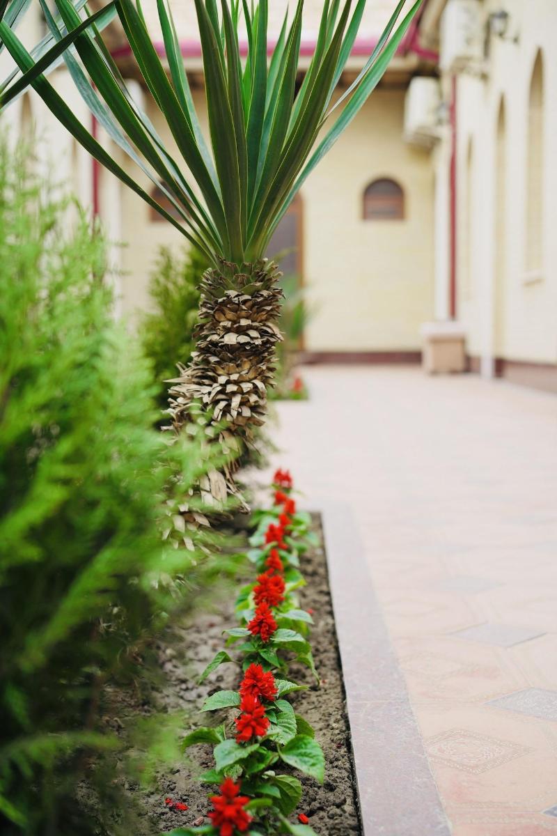 Samarkand Travel Inn E image