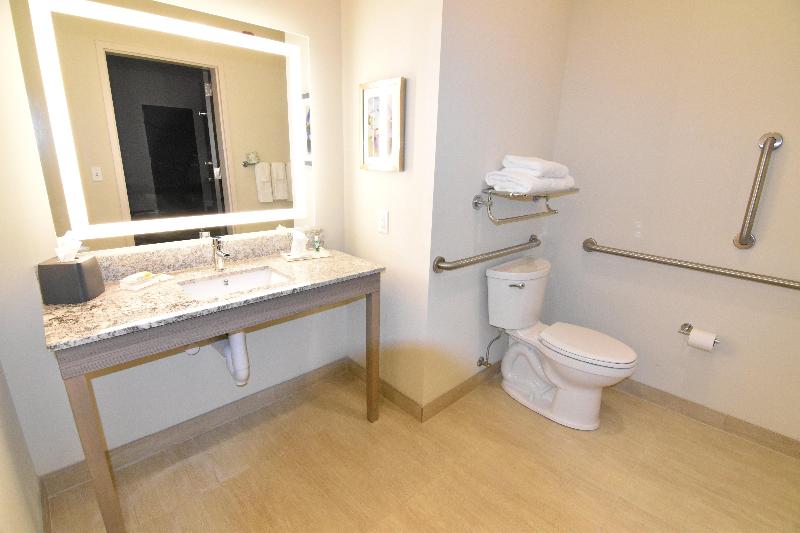 Holiday Inn Kansas City - Northeast photo 15