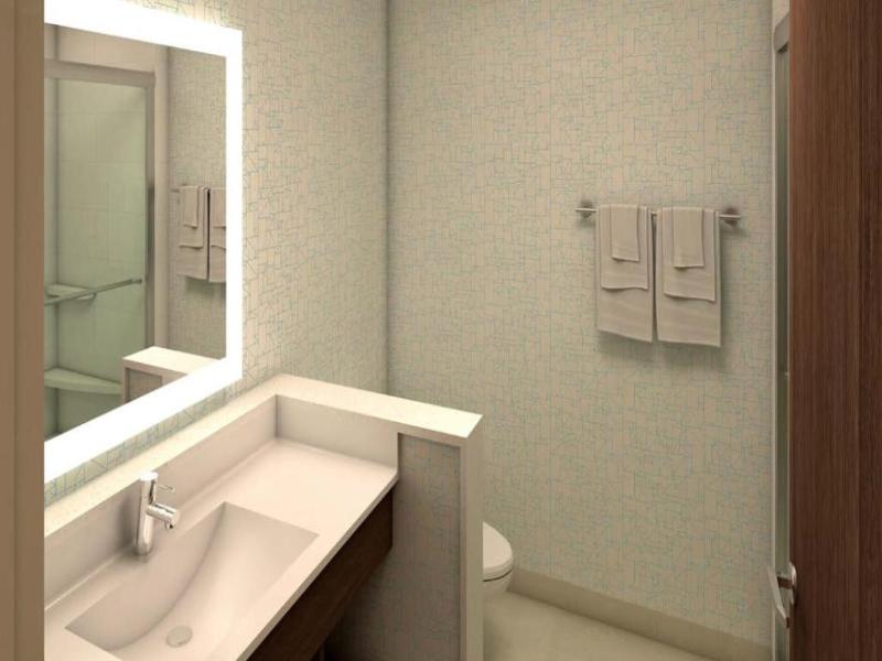 Holiday Inn Express & Suites Auburn Downtown photo 21
