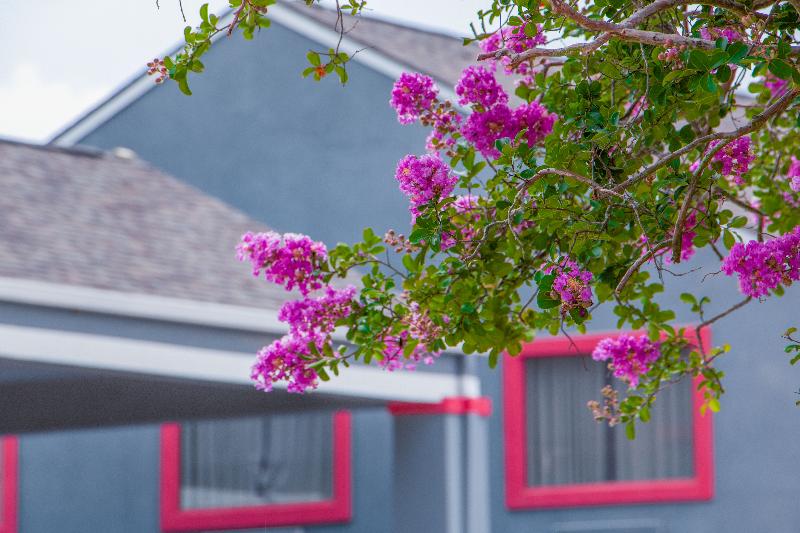 Townhouse Donaldsonville - Gonzale image