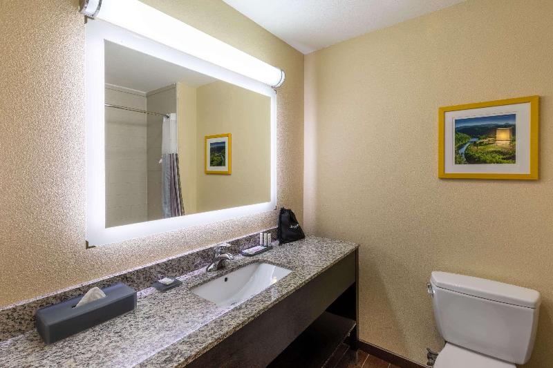 La Quinta Inn Suites By Wyndham Durant image