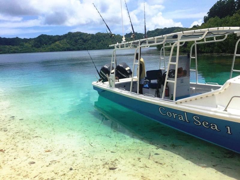 Coral Sea Resort & Casino image