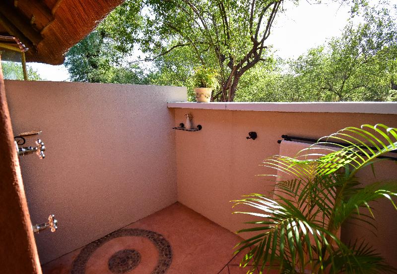 Mohlabetsi Safari Lodge image