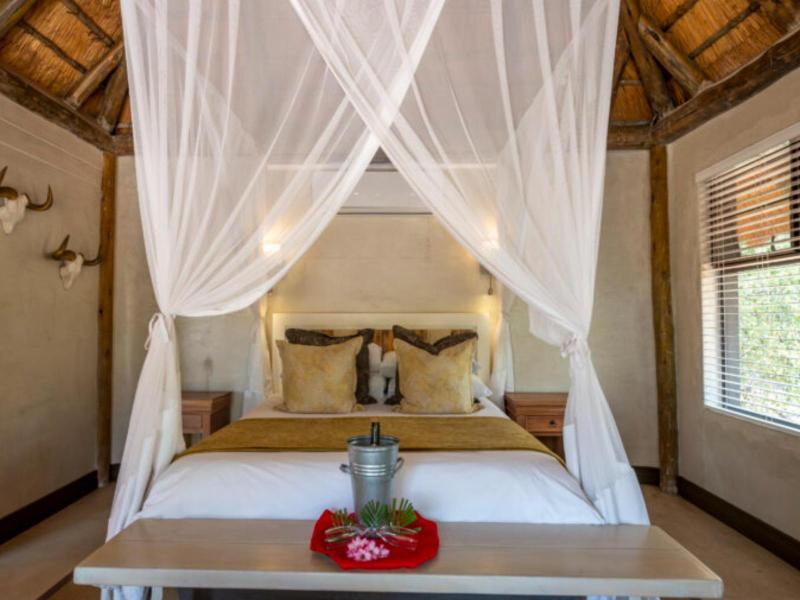Mohlabetsi Safari Lodge image