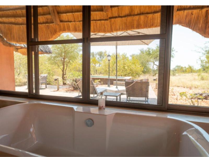Mohlabetsi Safari Lodge image