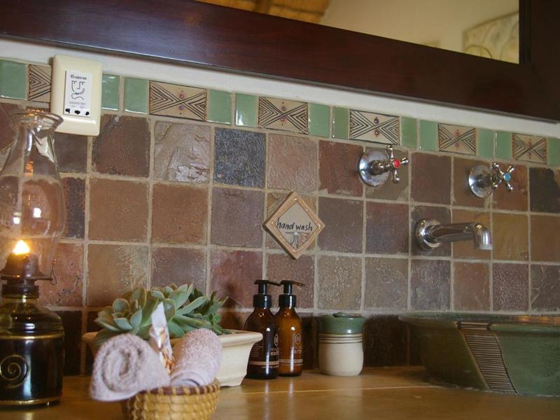 Mohlabetsi Safari Lodge image