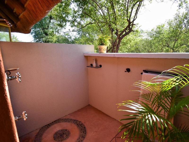 Mohlabetsi Safari Lodge image