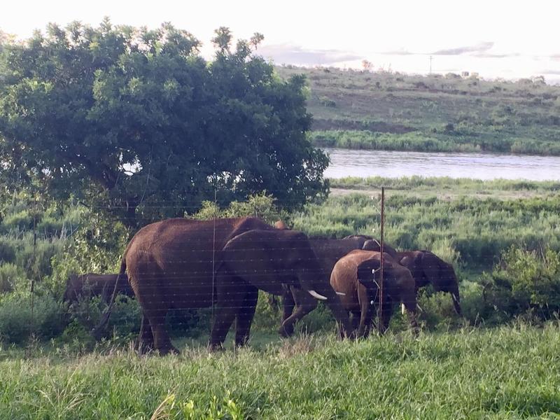 Elephant Walk Retreat image