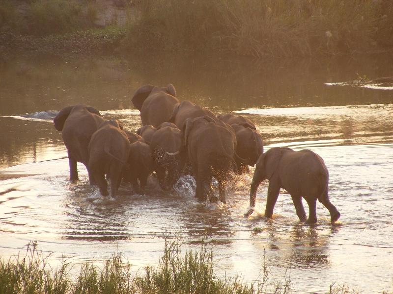 Elephant Walk Retreat image