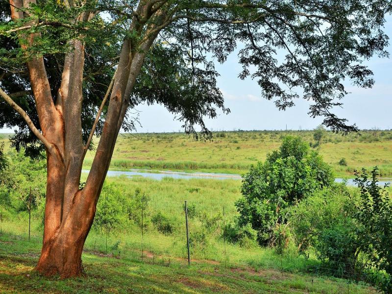 Elephant Walk Retreat image