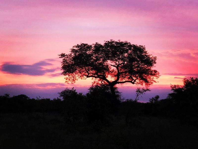 Elephant Walk Retreat image