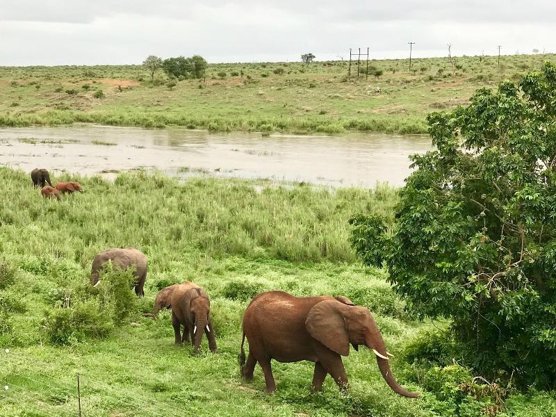 Elephant Walk Retreat image