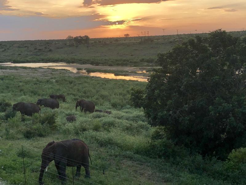 Elephant Walk Retreat image