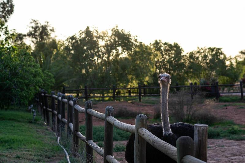 Mooiplaas Guesthouse