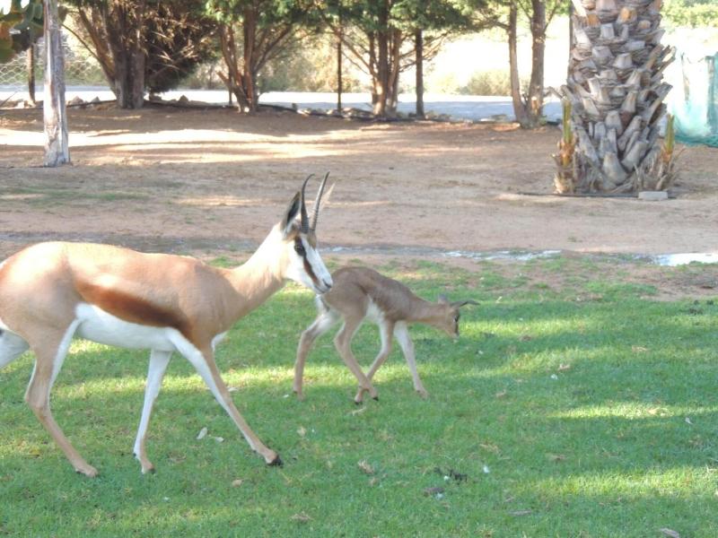 Oasis Country Lodge