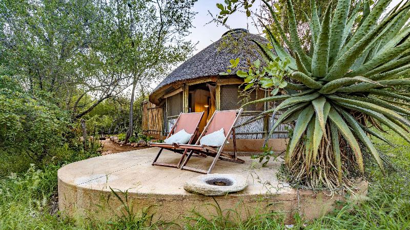 Umlani Bushcamp image