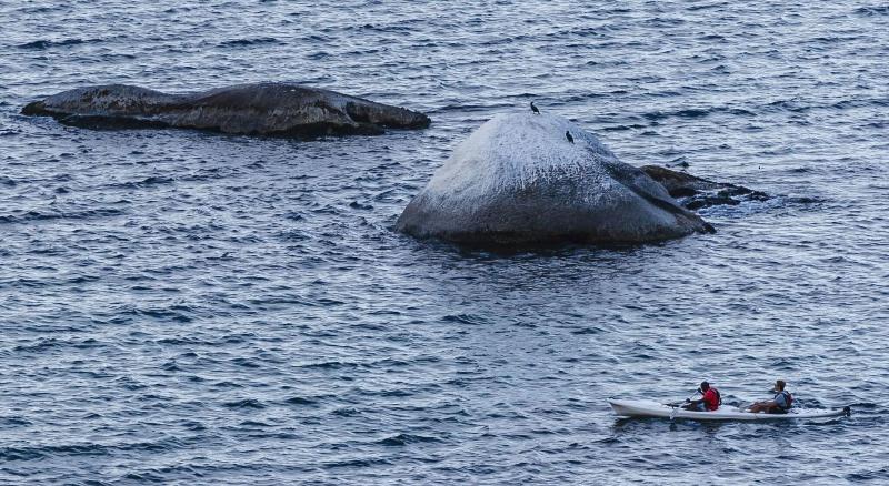Whale View Manor image