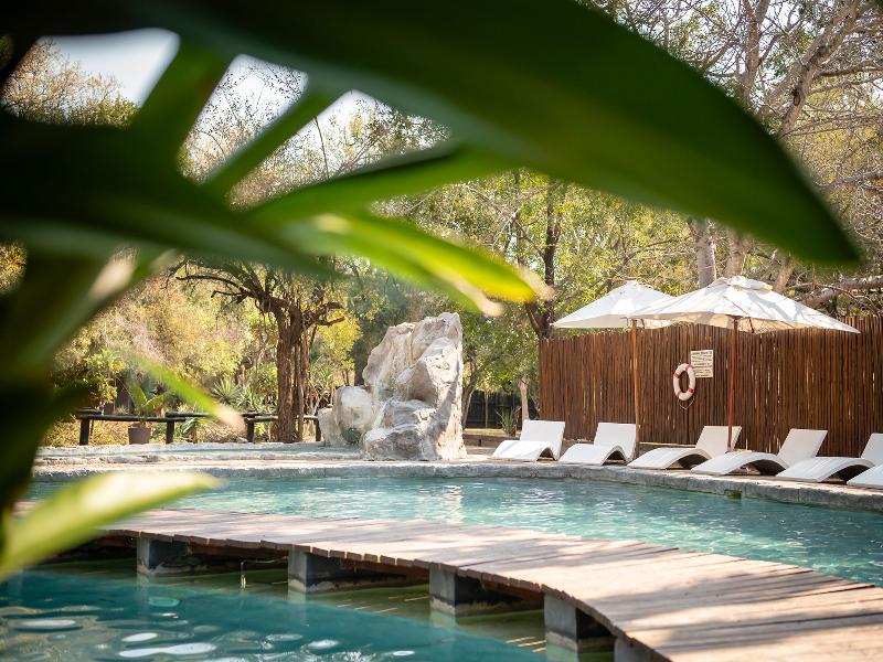 Shiduli Safari Lodge image