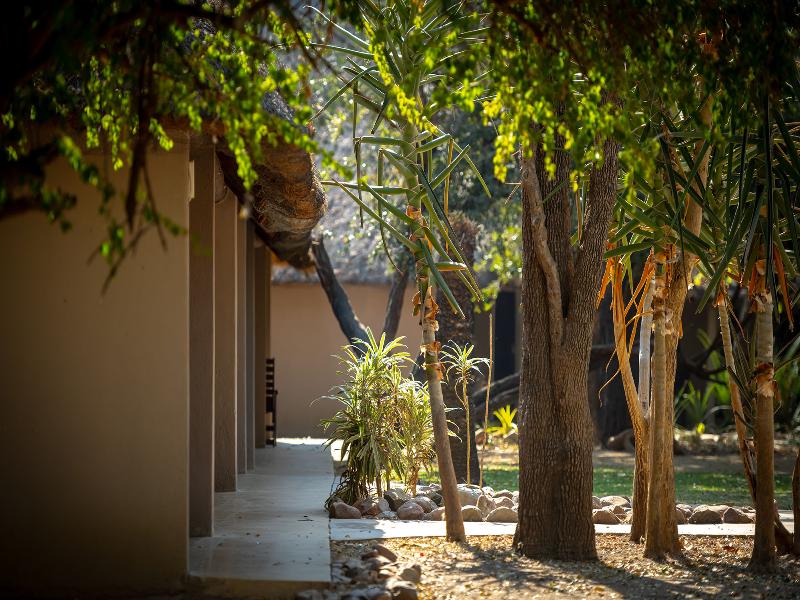 Shiduli Safari Lodge image