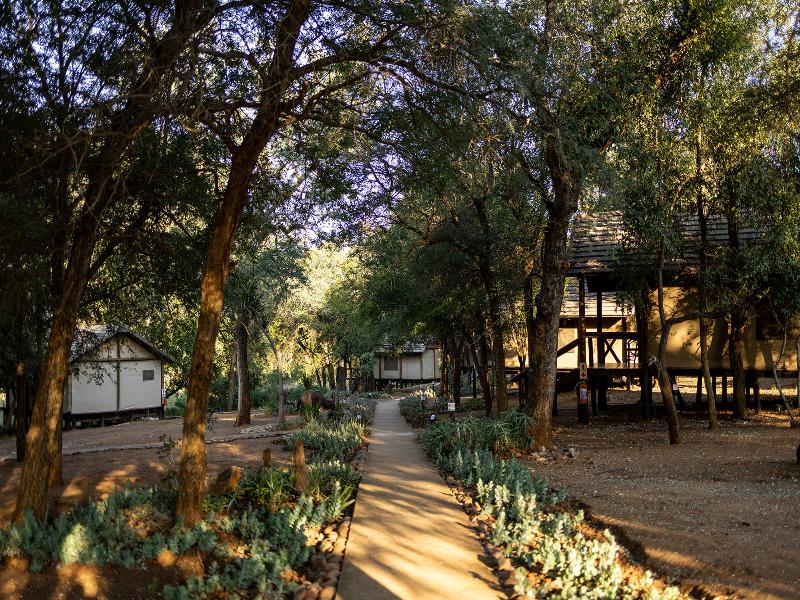 Chisomo Safari Camp image