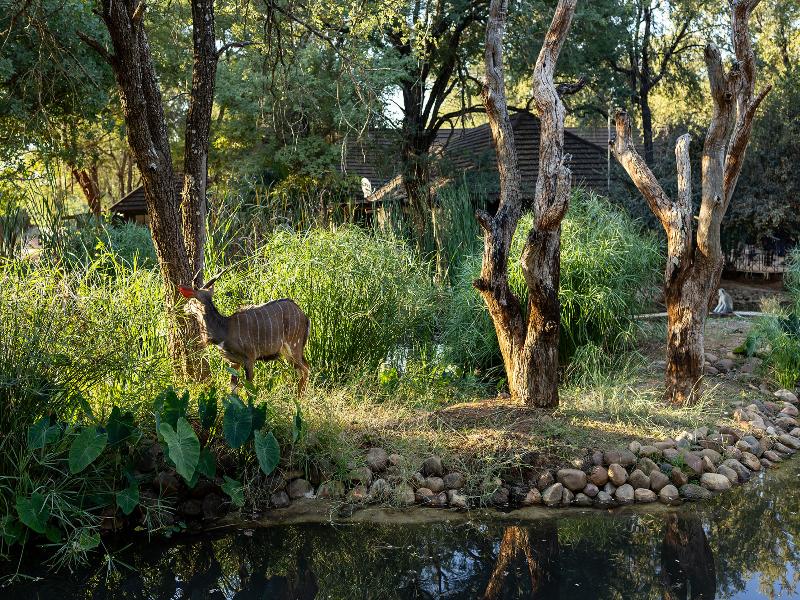 Chisomo Safari Camp image