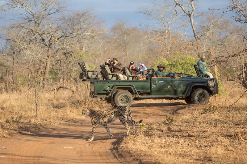 Karongwe River Safari Lodge image