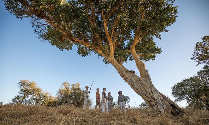 Karongwe River Safari Lodge image